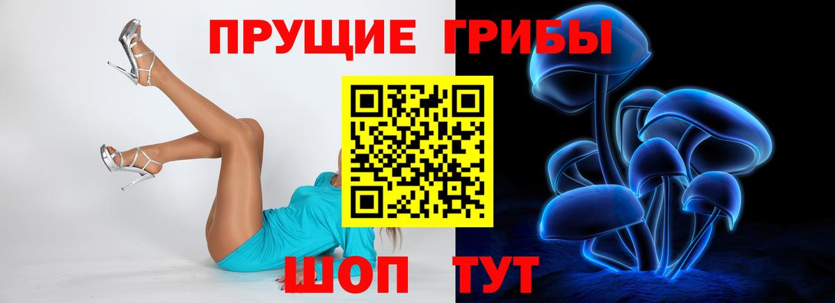 Заречный  Галлюциногенные грибы MAGIC MUSHROOMS  Вход с VPN 
